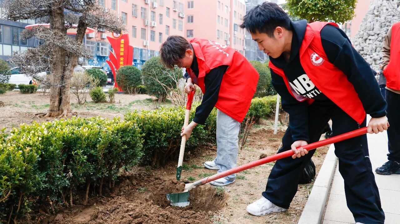 志愿添新绿,公益暖社区!泰山科技学院联合东湖社区植树护生态